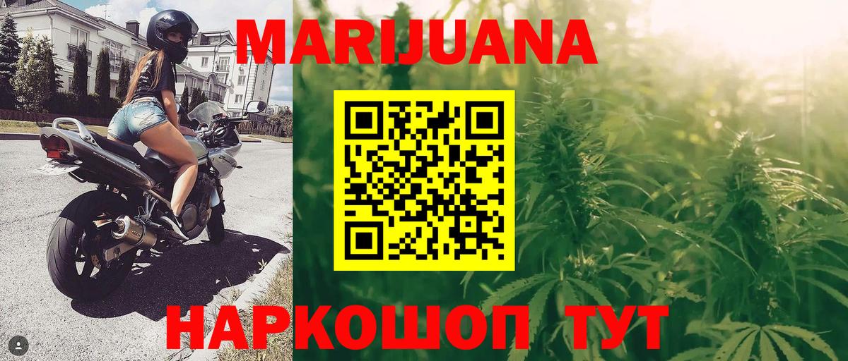 Каннабис SATIVA & INDICA Кисловодск